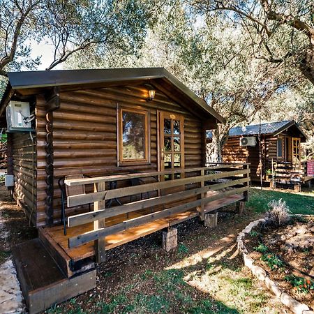 Holiday Park Olive Tree 울친 외부 사진