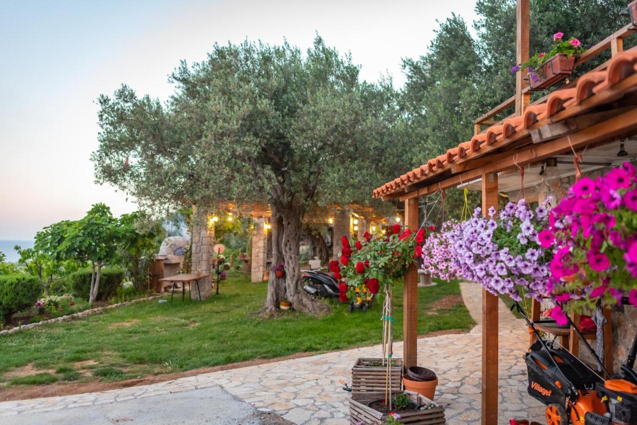Holiday Park Olive Tree 울친 외부 사진