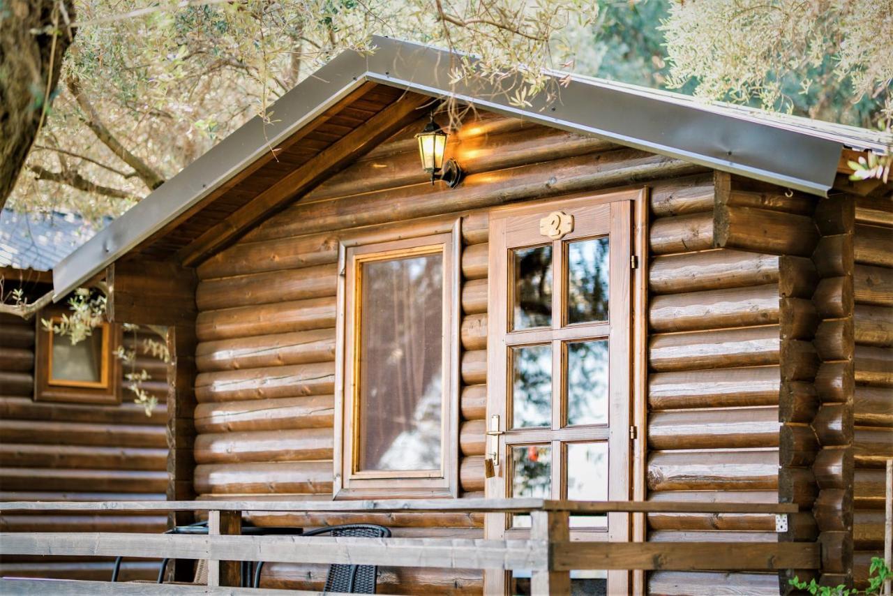 Holiday Park Olive Tree 울친 외부 사진