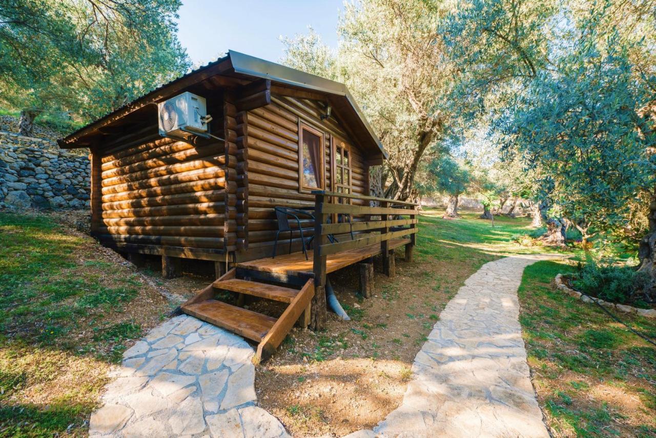 Holiday Park Olive Tree 울친 외부 사진