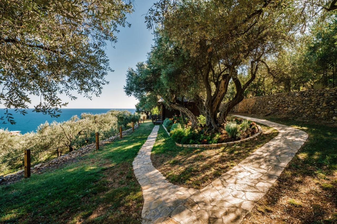 Holiday Park Olive Tree 울친 외부 사진