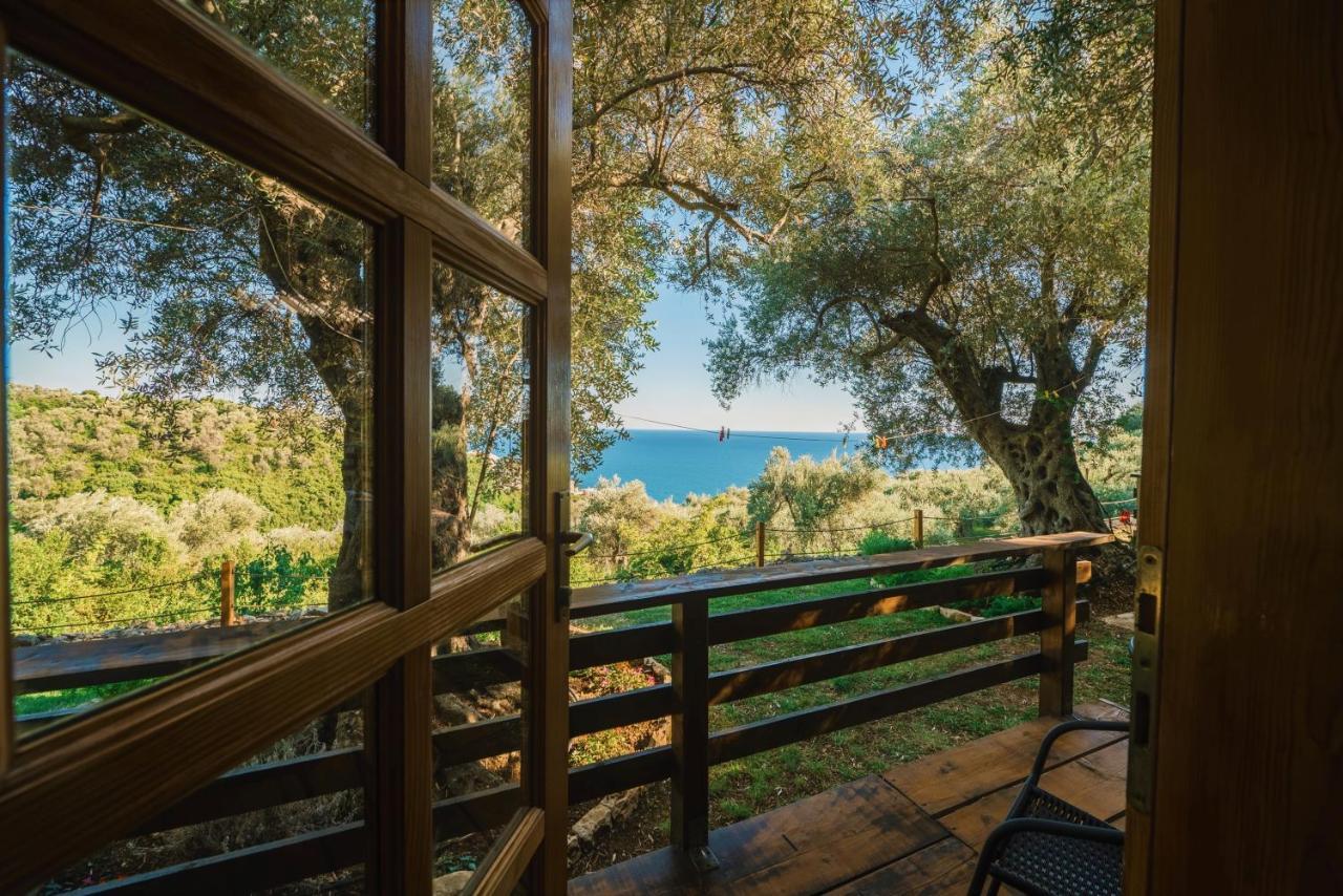 Holiday Park Olive Tree 울친 외부 사진
