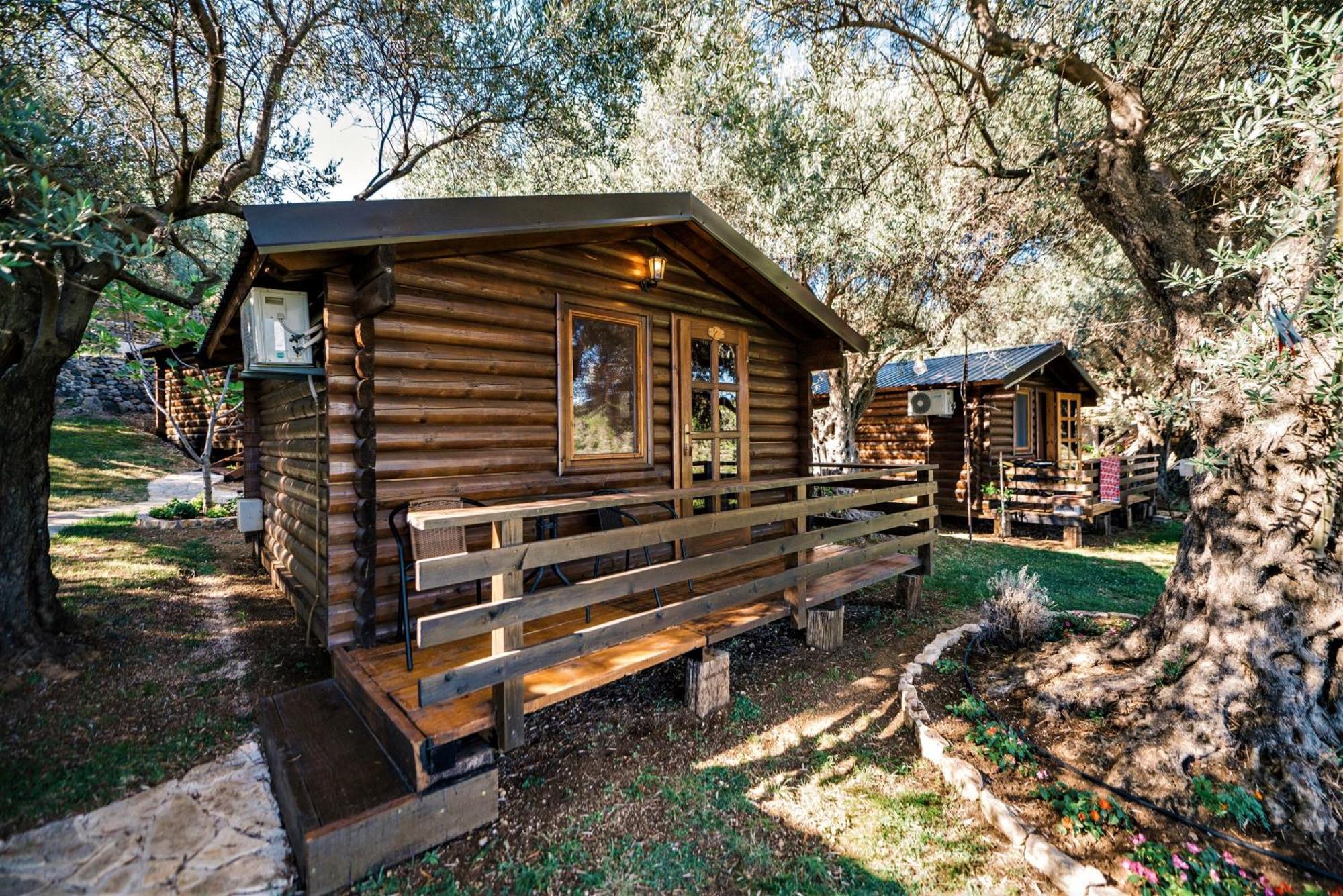 Holiday Park Olive Tree 울친 외부 사진